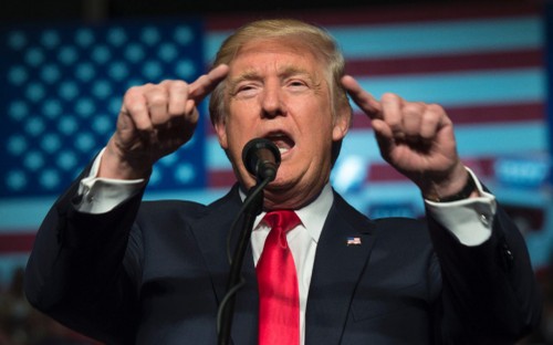 Trump, personnalité la plus marquante de 2016 pour la rédaction de l'AFP - ảnh 1